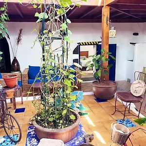 Casa Rural Estilo Canario Villa